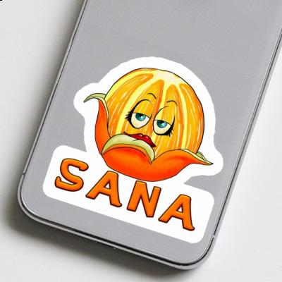 Sticker Orange Sana Notebook Sticker Orange Sana Gift package Image