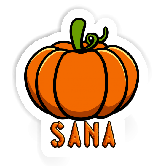 Autocollant Sana Courge Notebook Autocollant Sana Courge Gift package Image