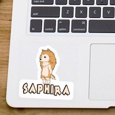 Sticker Saphira Collie Gift package Image
