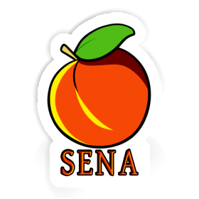 Sena Aufkleber Aprikose Image