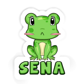 Sticker Frosch Sena Image