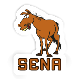 Aufkleber Sena Pferd Image
