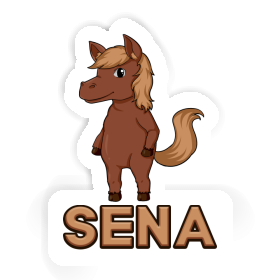Sticker Pferd Sena Image