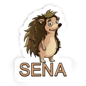 Sticker Sena Hedgehog Image
