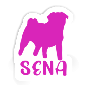 Pug Sticker Sena Image