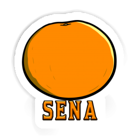Sena Aufkleber Orange Image