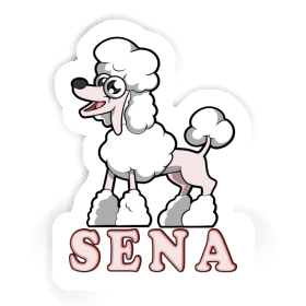 Autocollant Sena Caniche Image