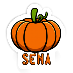Aufkleber Kürbis Sena Image