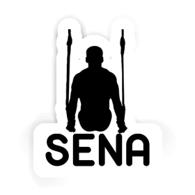 Sena Sticker Ring gymnast Image