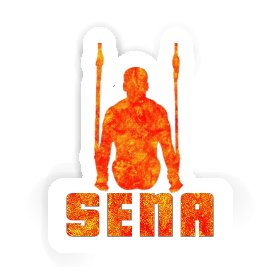 Sticker Ring gymnast Sena Image