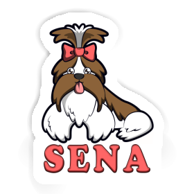 Aufkleber Sena Shih Tzu Image