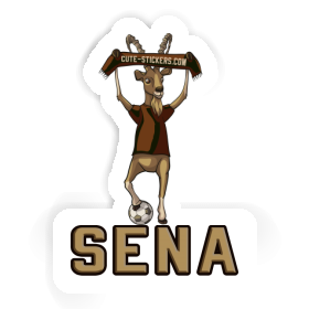 Aufkleber Steinbock Sena Image