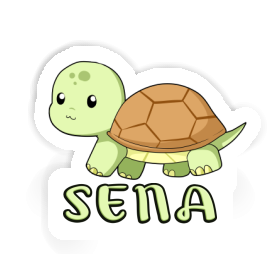 Sena Sticker Turtle Image
