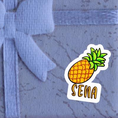 Aufkleber Sena Ananas Laptop Aufkleber Sena Ananas Laptop Image