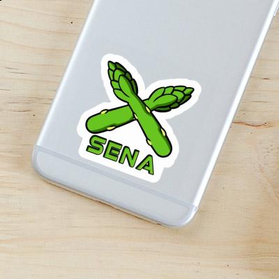 Sena Sticker Asparagus Notebook Sena Sticker Asparagus Gift package Image