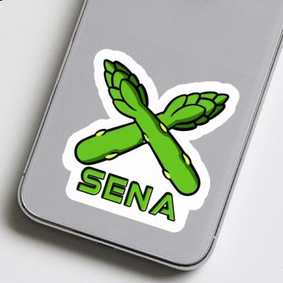 Sena Sticker Asparagus Sena Sticker Asparagus Image