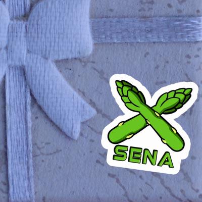 Sena Sticker Asparagus Notebook Sena Sticker Asparagus Gift package Image