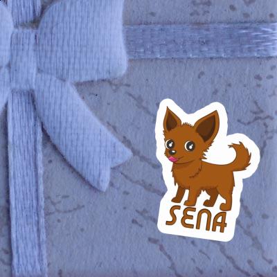 Sena Sticker Chihuahua Notebook Sena Sticker Chihuahua Gift package Image