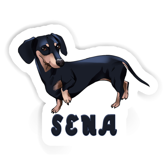 Sticker Sena Dachshund Notebook Sticker Sena Dachshund Gift package Image