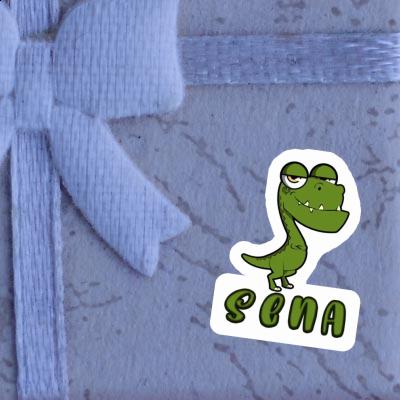 Dinosaur Sticker Sena Laptop Dinosaur Sticker Sena Laptop Image