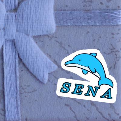 Sticker Delphin Sena Sticker Delphin Sena Image