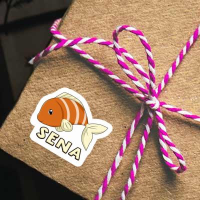 Fish Sticker Sena Notebook Fish Sticker Sena Gift package Image