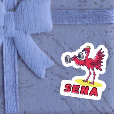 Sena Sticker Flamengo Sena Sticker Flamengo Image