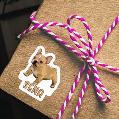 Frenchie Sticker Sena Notebook Frenchie Sticker Sena Gift package Image