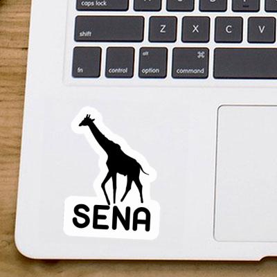 Sticker Giraffe Sena Notebook Sticker Giraffe Sena Gift package Image