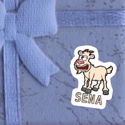 Sena Sticker Ziege Notebook Sena Sticker Ziege Gift package Image