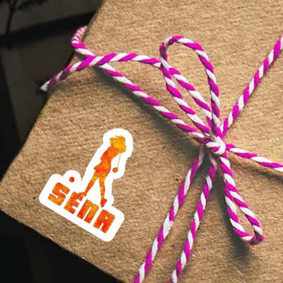 Aufkleber Golferin Sena Notebook Aufkleber Golferin Sena Gift package Image