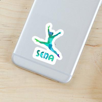 Sticker Gymnastin Sena Notebook Sticker Gymnastin Sena Gift package Image