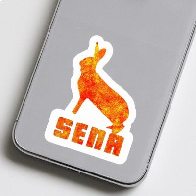 Sticker Hase Sena Notebook Sticker Hase Sena Gift package Image