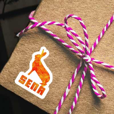 Sticker Hase Sena Notebook Sticker Hase Sena Gift package Image