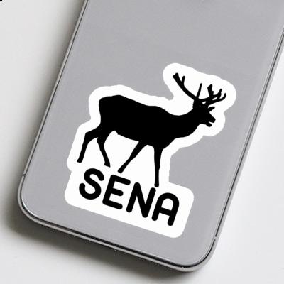 Sticker Hirsch Sena Laptop Sticker Hirsch Sena Laptop Image