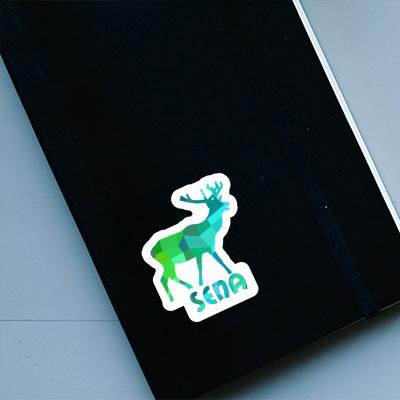 Aufkleber Sena Hirsch Laptop Aufkleber Sena Hirsch Laptop Image