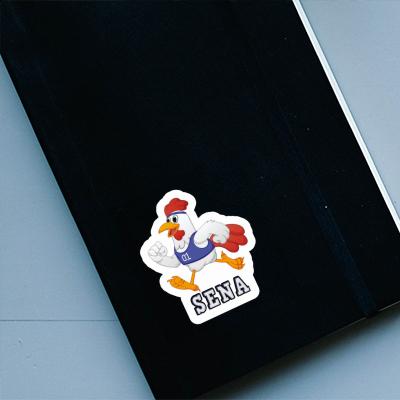 Sticker Sena Runner Notebook Sticker Sena Runner Notebook Image