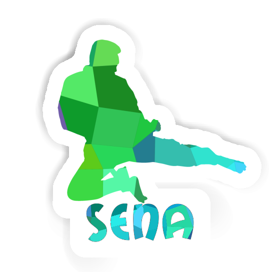 Sticker Sena Karateka Notebook Sticker Sena Karateka Gift package Image