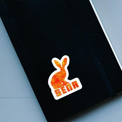 Sticker Rabbit Sena Notebook Sticker Rabbit Sena Gift package Image