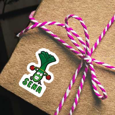 Aufkleber Sena Lauch Notebook Aufkleber Sena Lauch Gift package Image