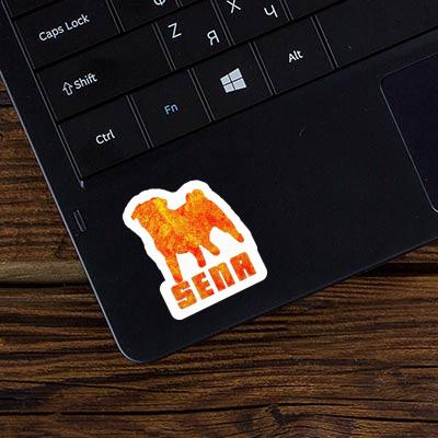 Sticker Pug Sena Sticker Pug Sena Image
