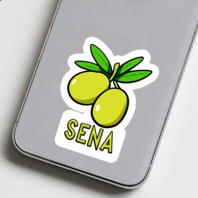 Olive Aufkleber Sena Notebook Olive Aufkleber Sena Notebook Image