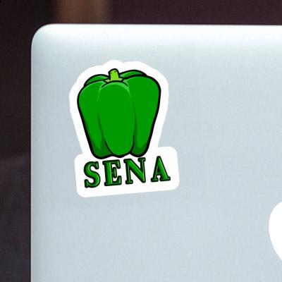 Sena Sticker Paprika Notebook Sena Sticker Paprika Gift package Image
