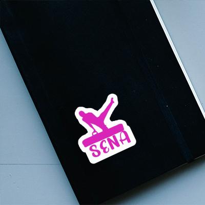 Gymnast Sticker Sena Notebook Gymnast Sticker Sena Gift package Image