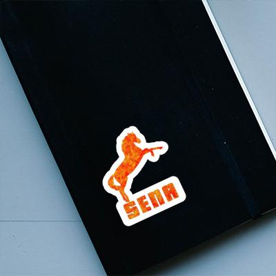 Sticker Pferd Sena Notebook Sticker Pferd Sena Gift package Image