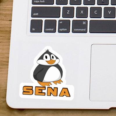 Aufkleber Sena Pinguin Aufkleber Sena Pinguin Image