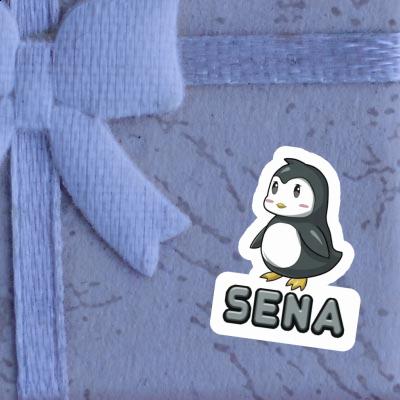 Sena Sticker Pinguin Laptop Sena Sticker Pinguin Laptop Image