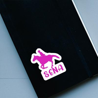 Reiterin Sticker Sena Notebook Reiterin Sticker Sena Gift package Image