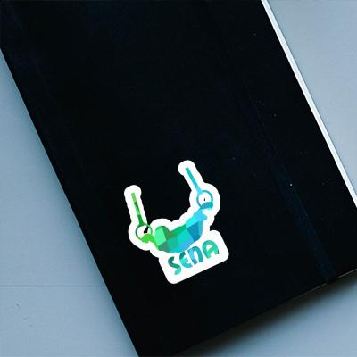 Ring gymnast Sticker Sena Laptop Ring gymnast Sticker Sena Laptop Image