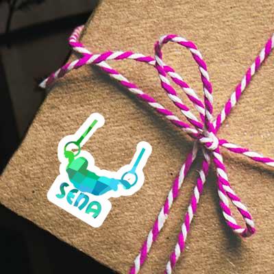 Ring gymnast Sticker Sena Notebook Ring gymnast Sticker Sena Gift package Image